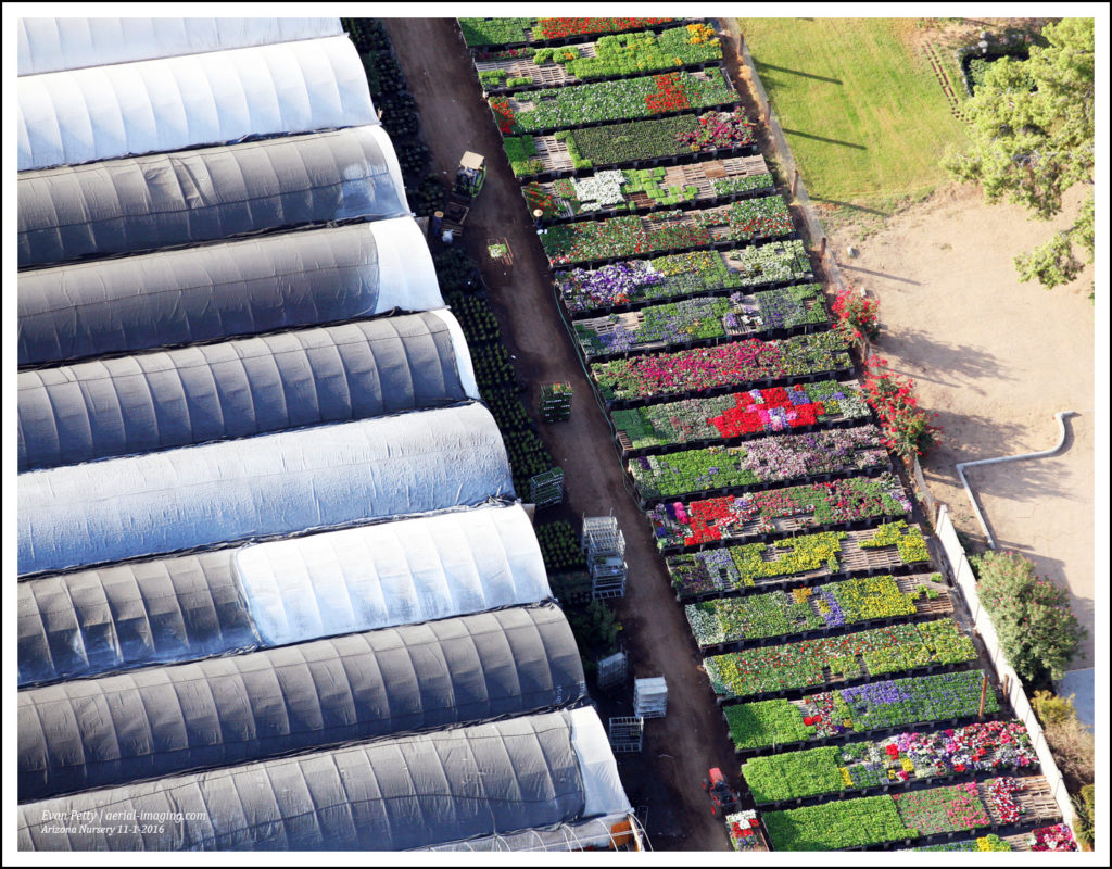 Aerial view of a nursery