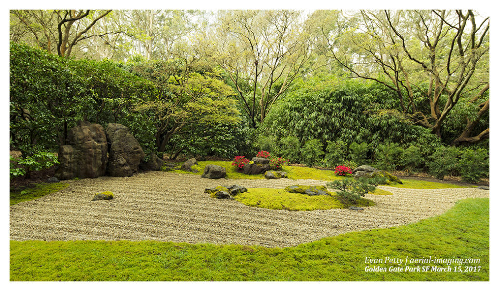 Japanese Tea Garden Photography