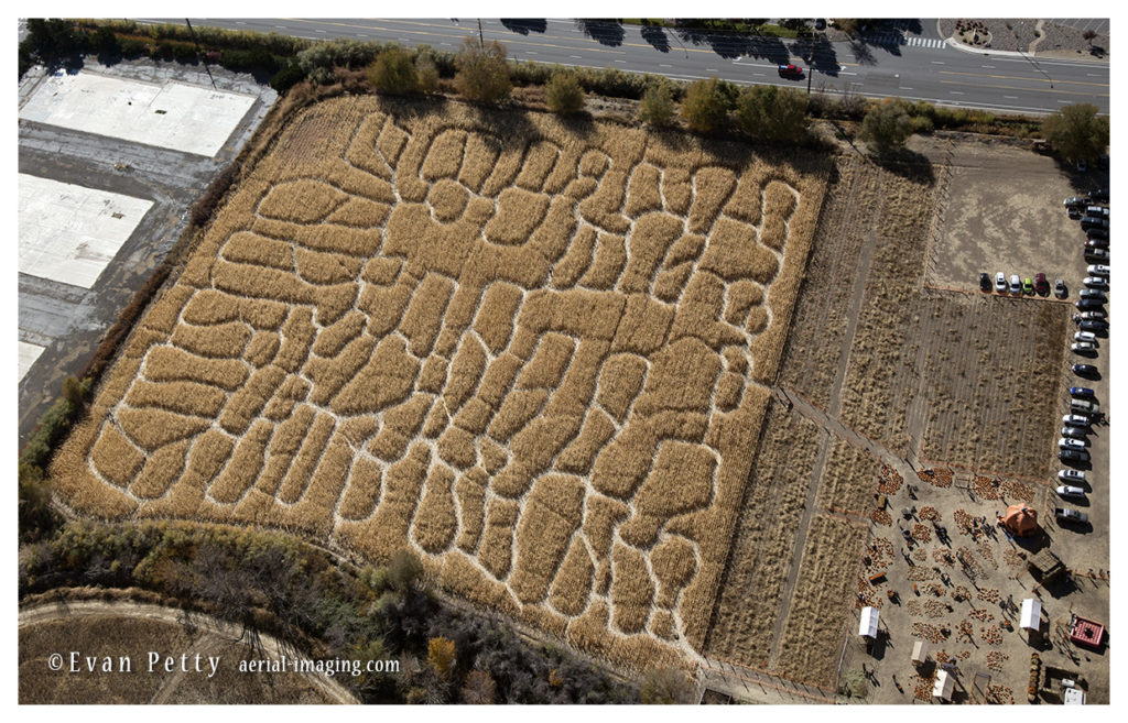 aerial corn maze Reno