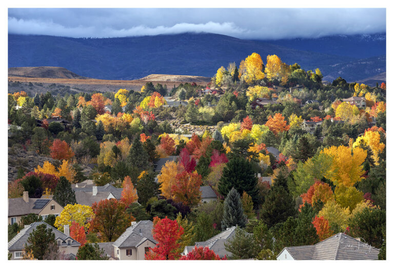 Colorful Trees Reno, NV Aerial Photography & Drone Services