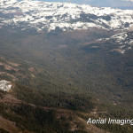 Aerial Tahoe Forest Placer