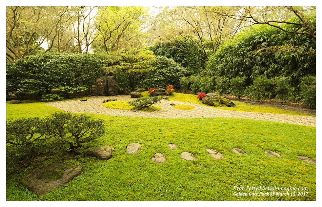 Japanese Tea Garden Photography