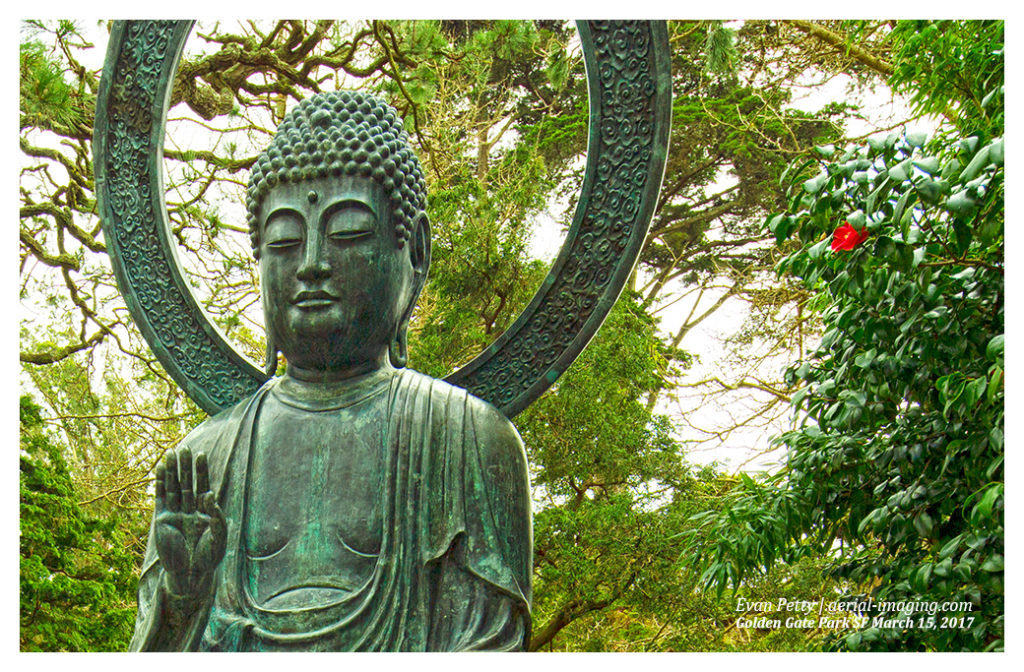 Buddha Japanese Tea Garden Photography