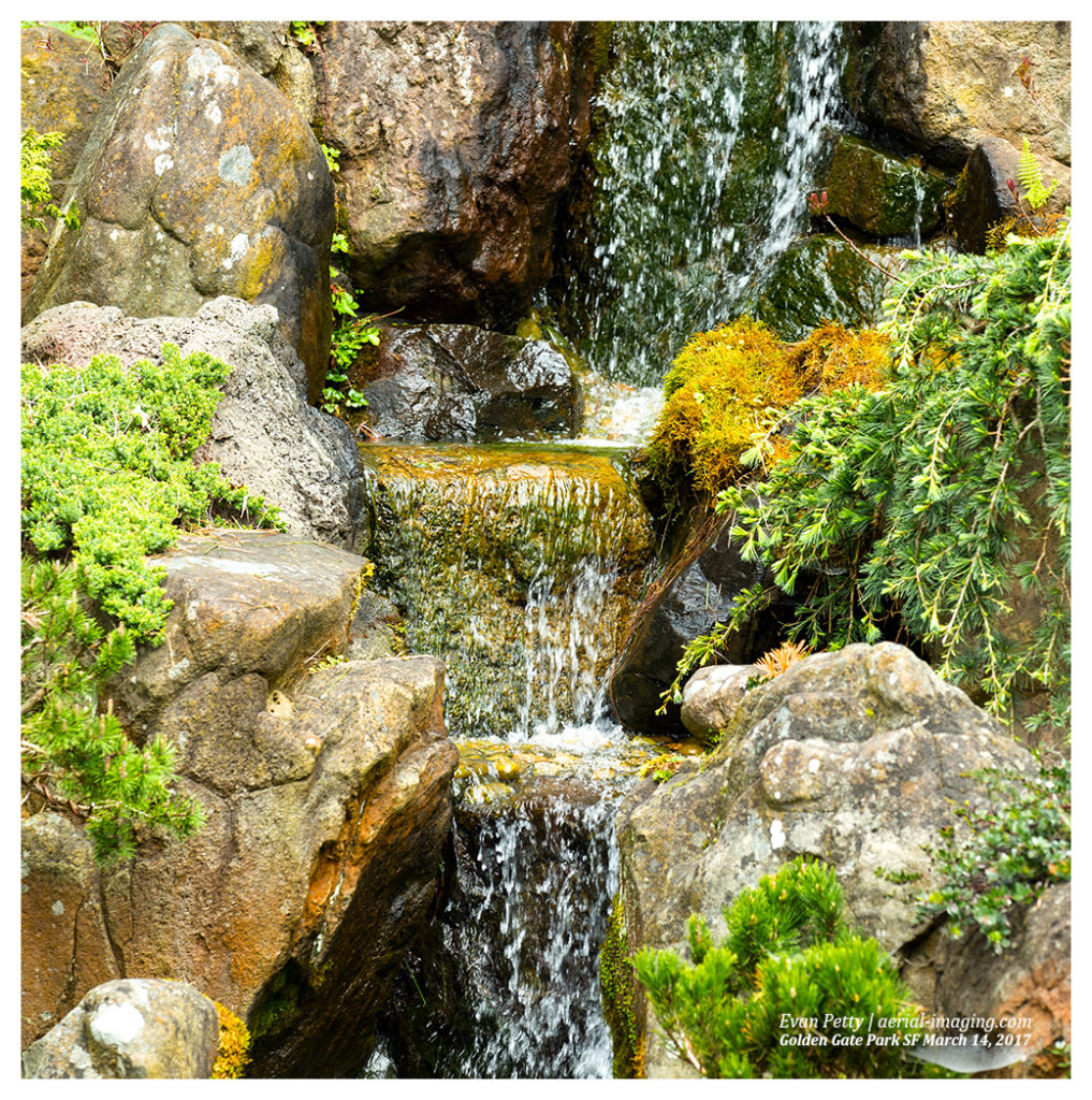 Rock and Water | Japanese Tea Garden Photography